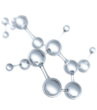 leaf_image_not_found