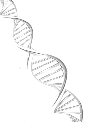 pill_image_not_found