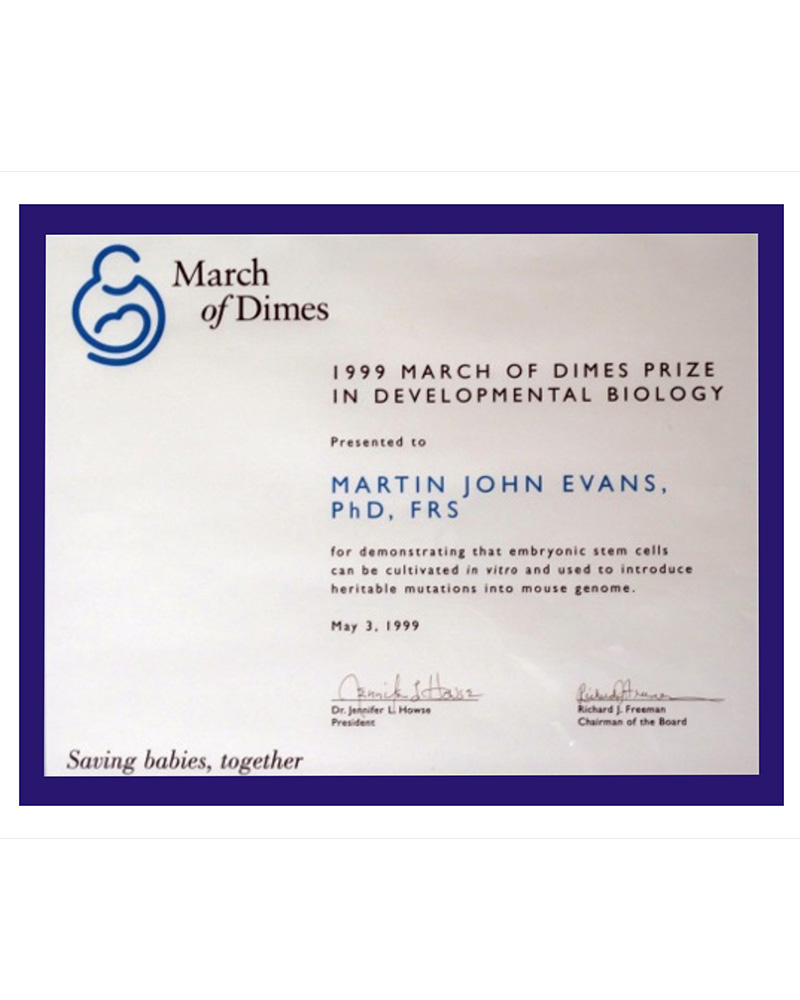 1999 MARCH OF DIMES PRIZEIN DEVELOPMENTAL BIOLOGY